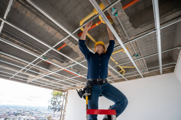 Best Best Plumbers Near Me  in Lester Prairie, MN