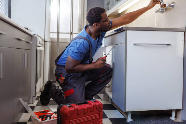 Best Water Softener Installation  in Lester Prairie, MN