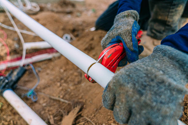 Best Plumbing Services Near Me  in Lester Prairie, MN
