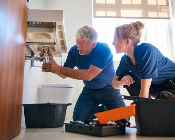 Best Commercial Plumbing Services  in Lester Prairie, MN